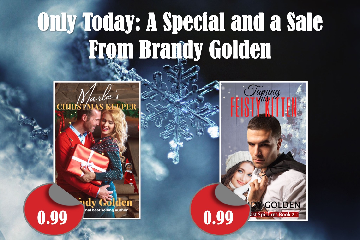Christmas special 24 hours only! Brandy Golden Books
